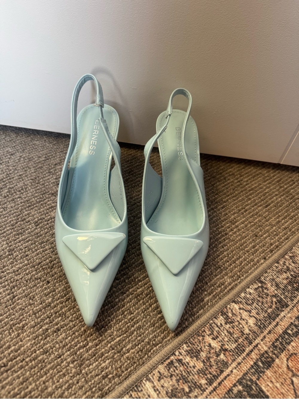 Berness Women’s Baby Blue Pointed Slingback Pumps